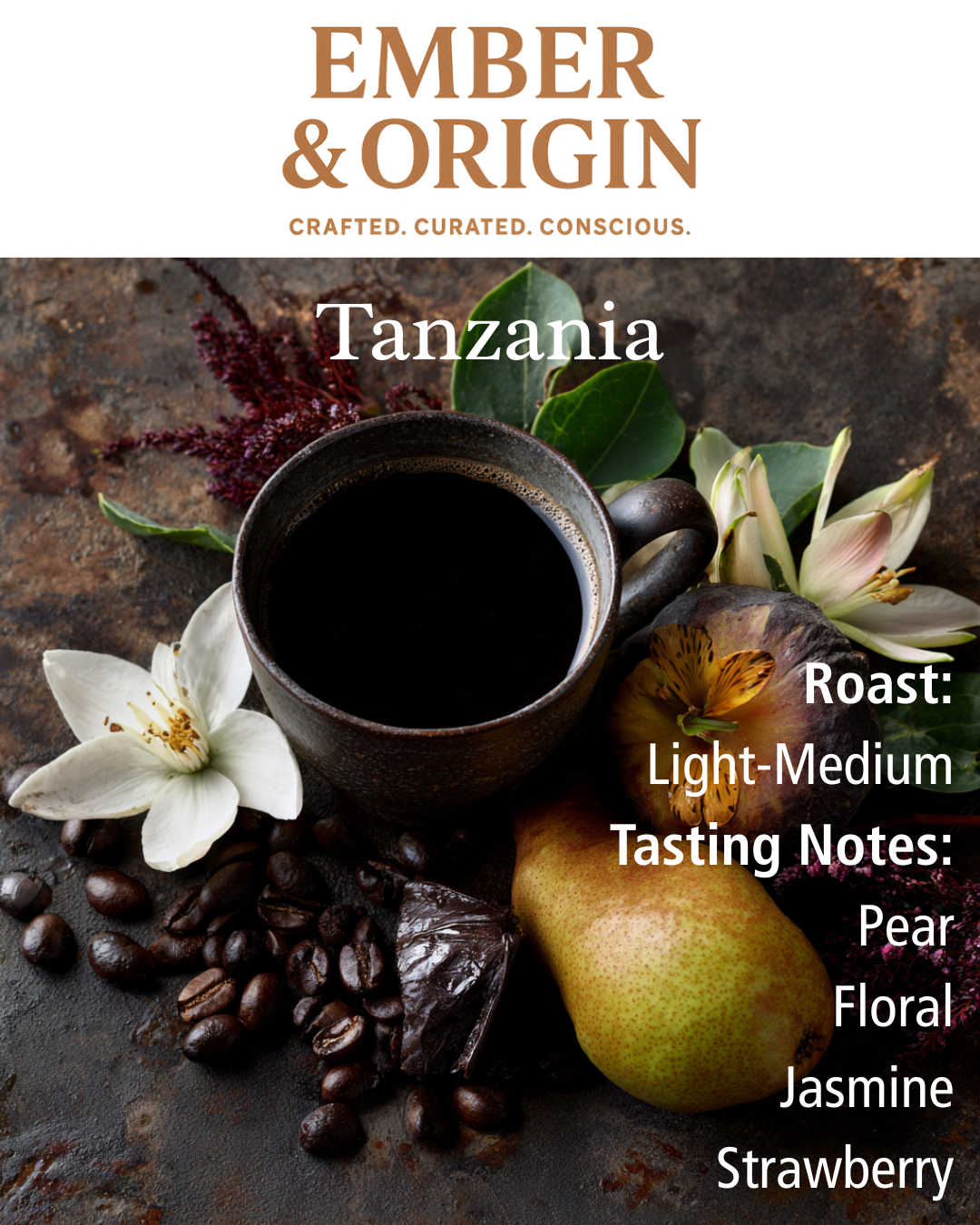 Single Origin Favorites Sample Pack