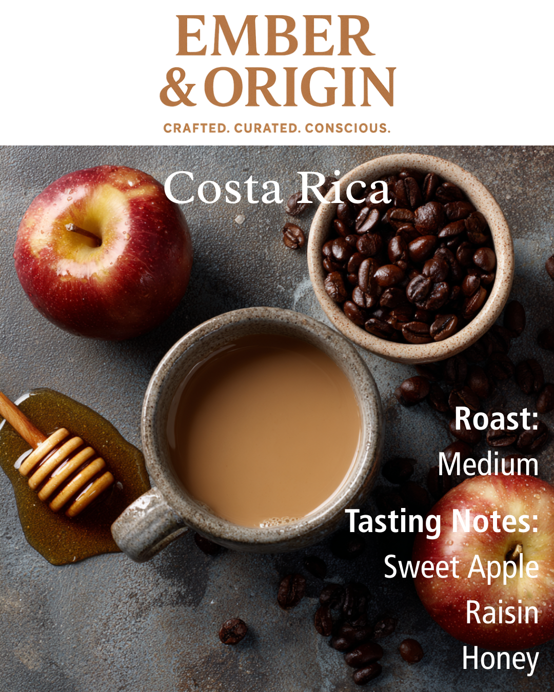 Ember Origin Single Origin Favorites Sample Pack – Ember & Origin