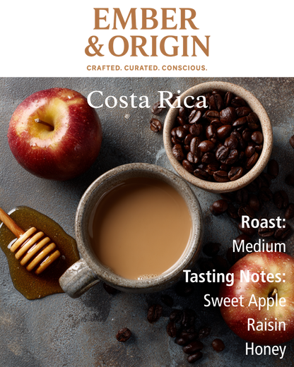 Single Origin Favorites Sample Pack